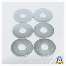 Sintered NdFeB Ring Magnets for Various Loudspeakers